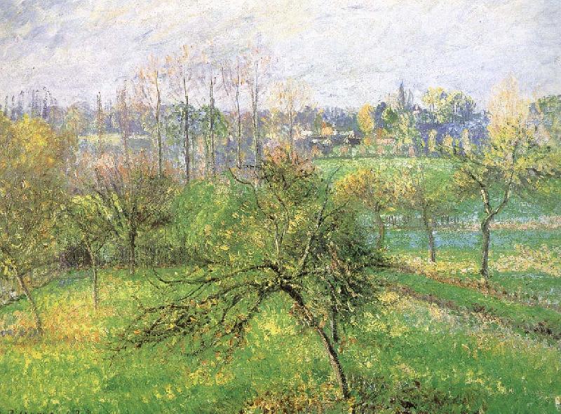 Apple, Camille Pissarro